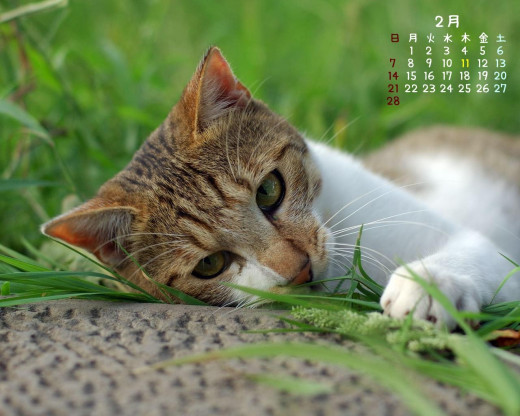 402405 (a): :1280x1024